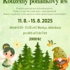 KC - Nabídka příměstských táborů 2025